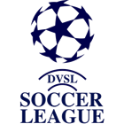Domingo Velasco Soccer League